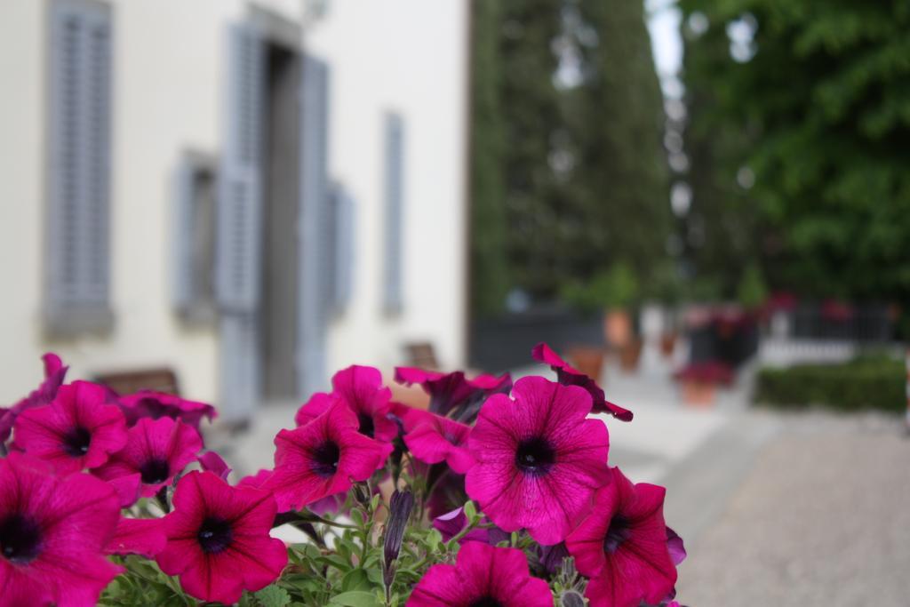 Villa Montarioso Сиена Экстерьер фото